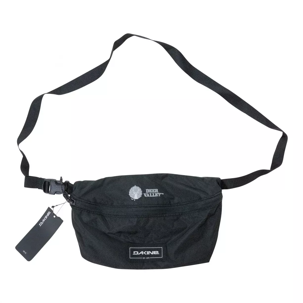 Dakine Deer Valley Hip Pack LT