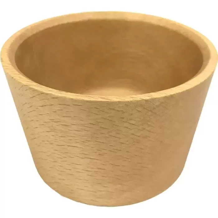Evernew Beech Cup