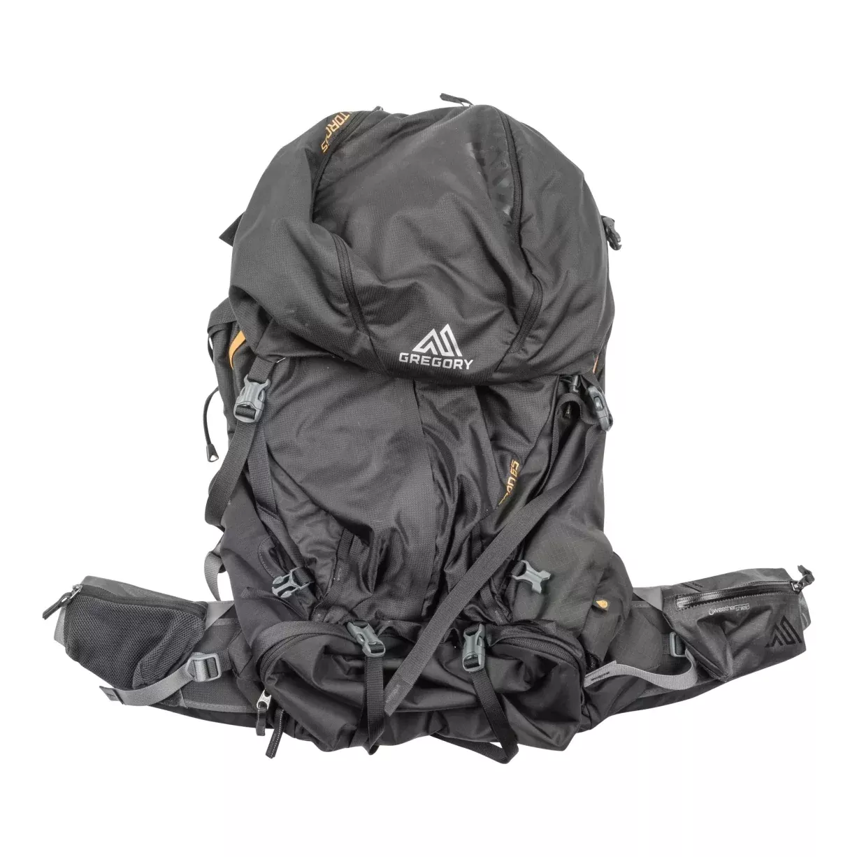 Gregory Baltoro 65L Pack