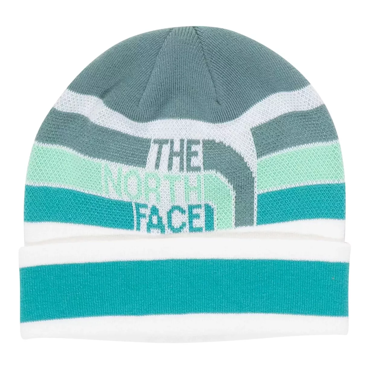 The North Face Retro Logo Beanie