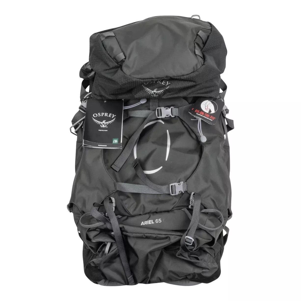 Osprey Packs Ariel 65L Backpack - Women's