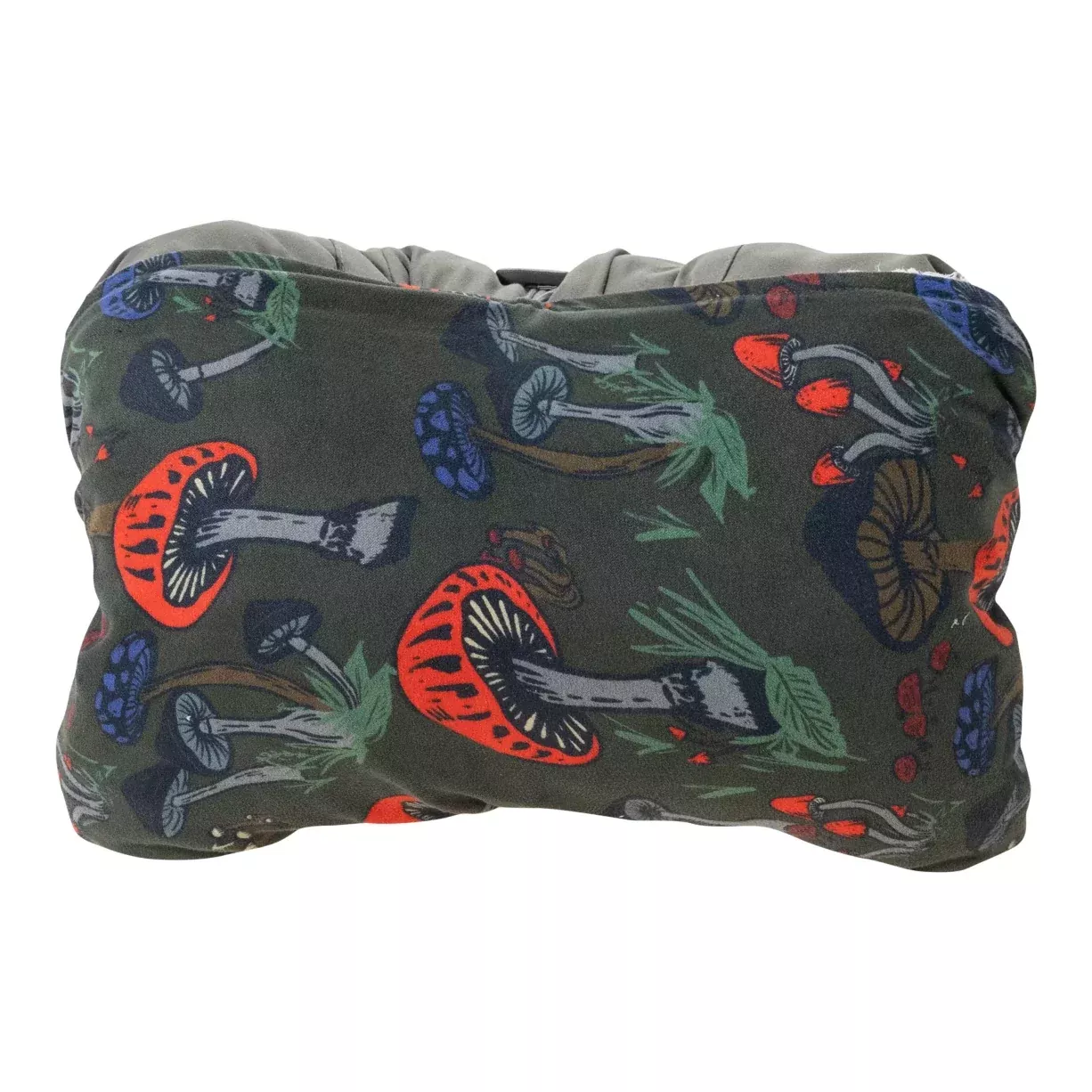 Outdoor Company Therm A Rest Compressible Pillow Cinch