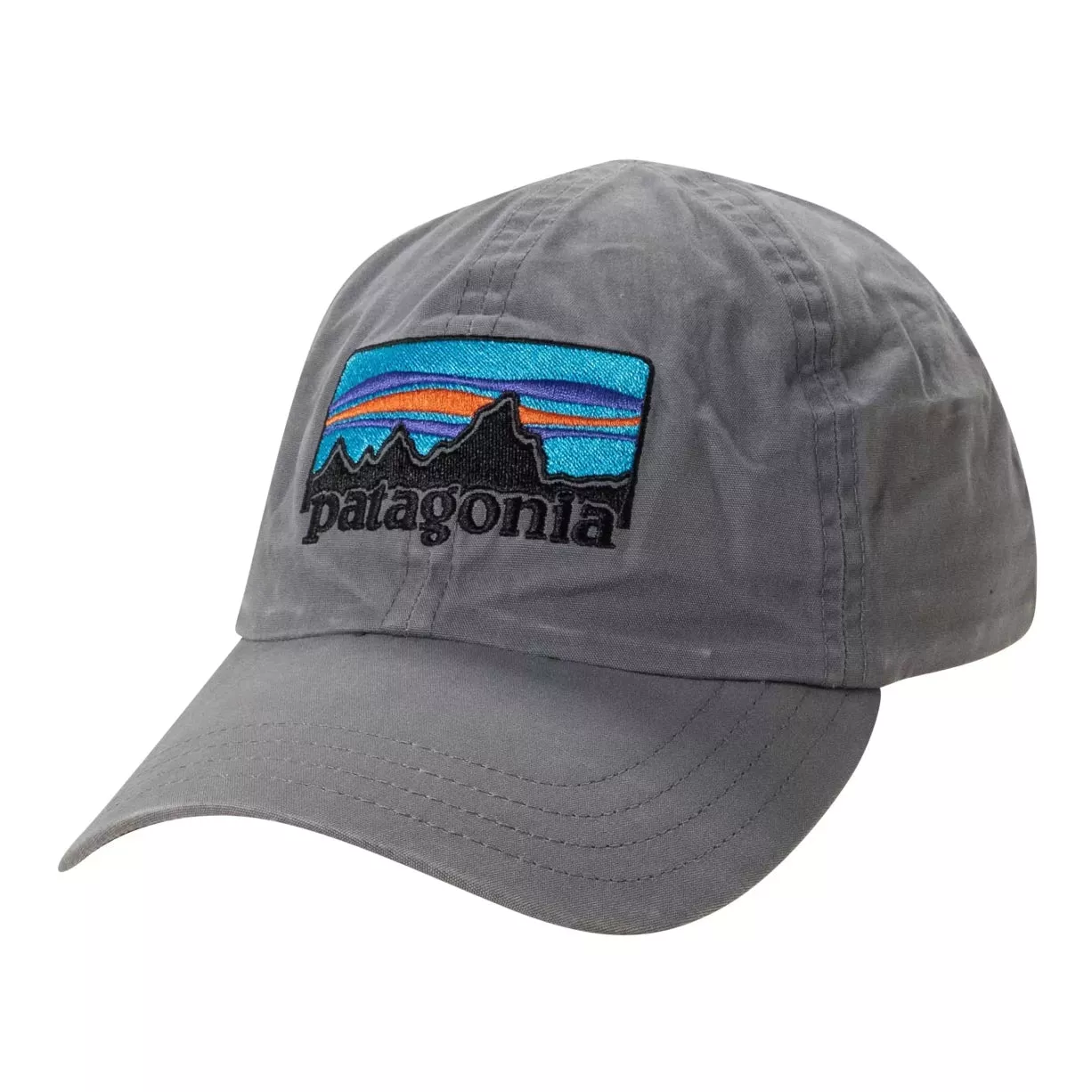 Patagonia Baseball Cap