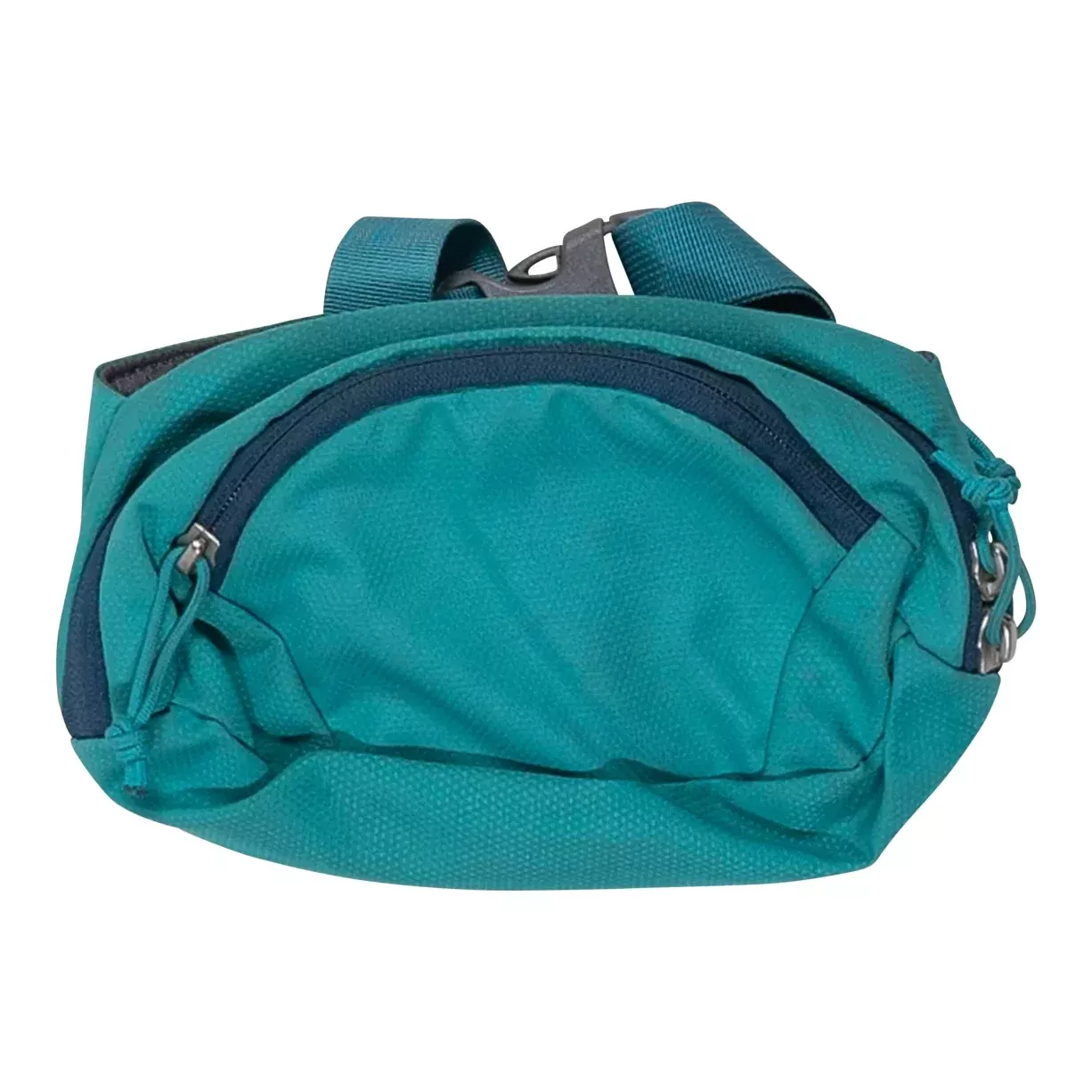 REI Co-op Minimalist Fanny Pack