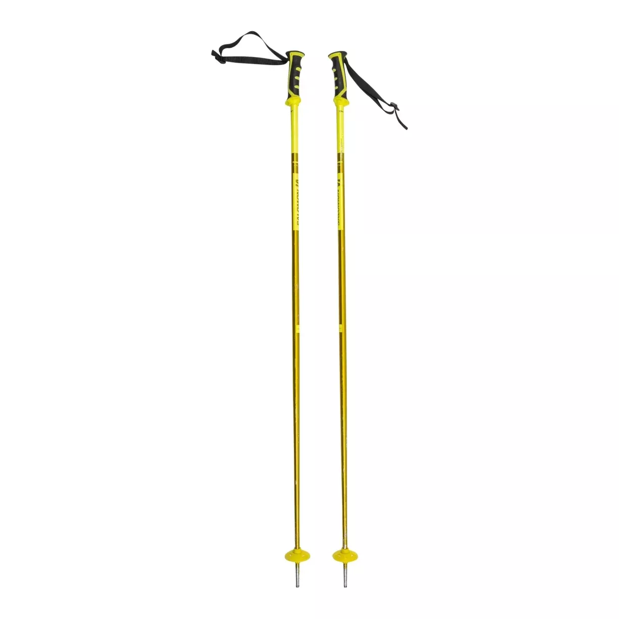 Salomon Arctic Ski Poles