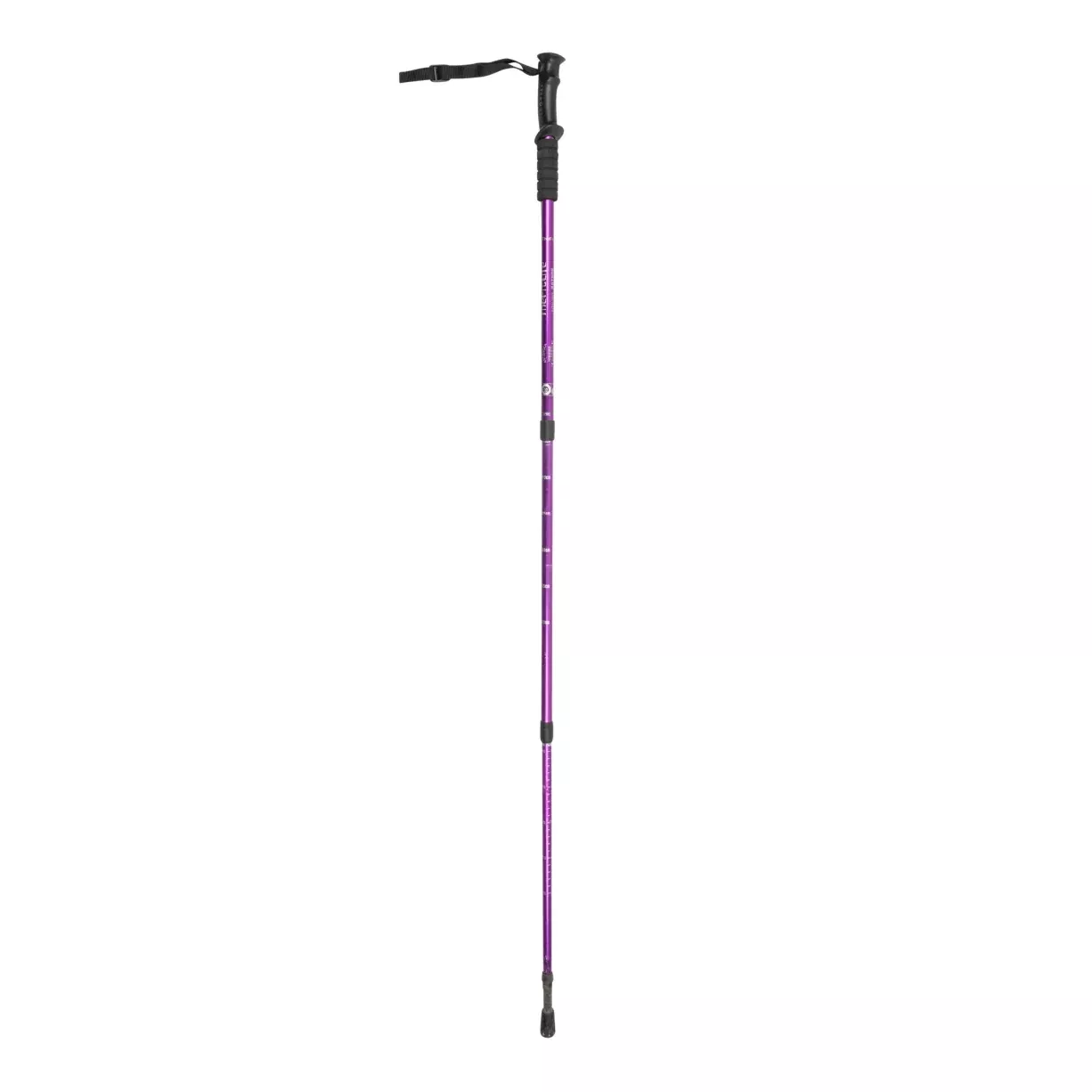 TheFitLife Trekking Pole